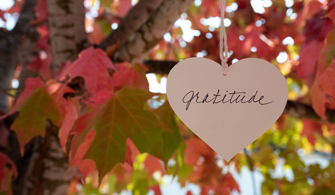 Gratitude tag hanging from an Autumn tree