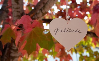 ‘Give Thanks to the Lord’: Raising a Grateful Family