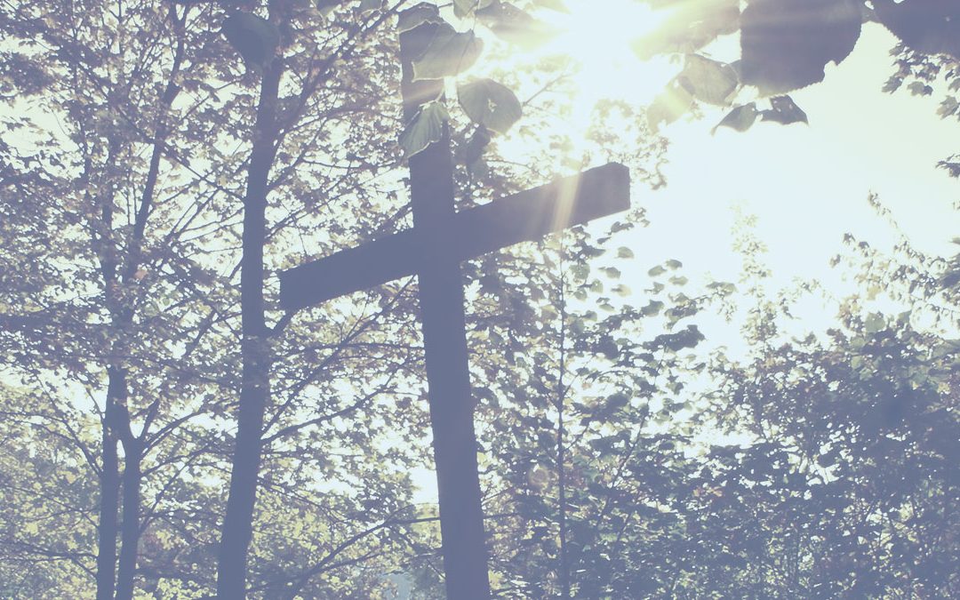 Cross among trees with sunshine in the background.
